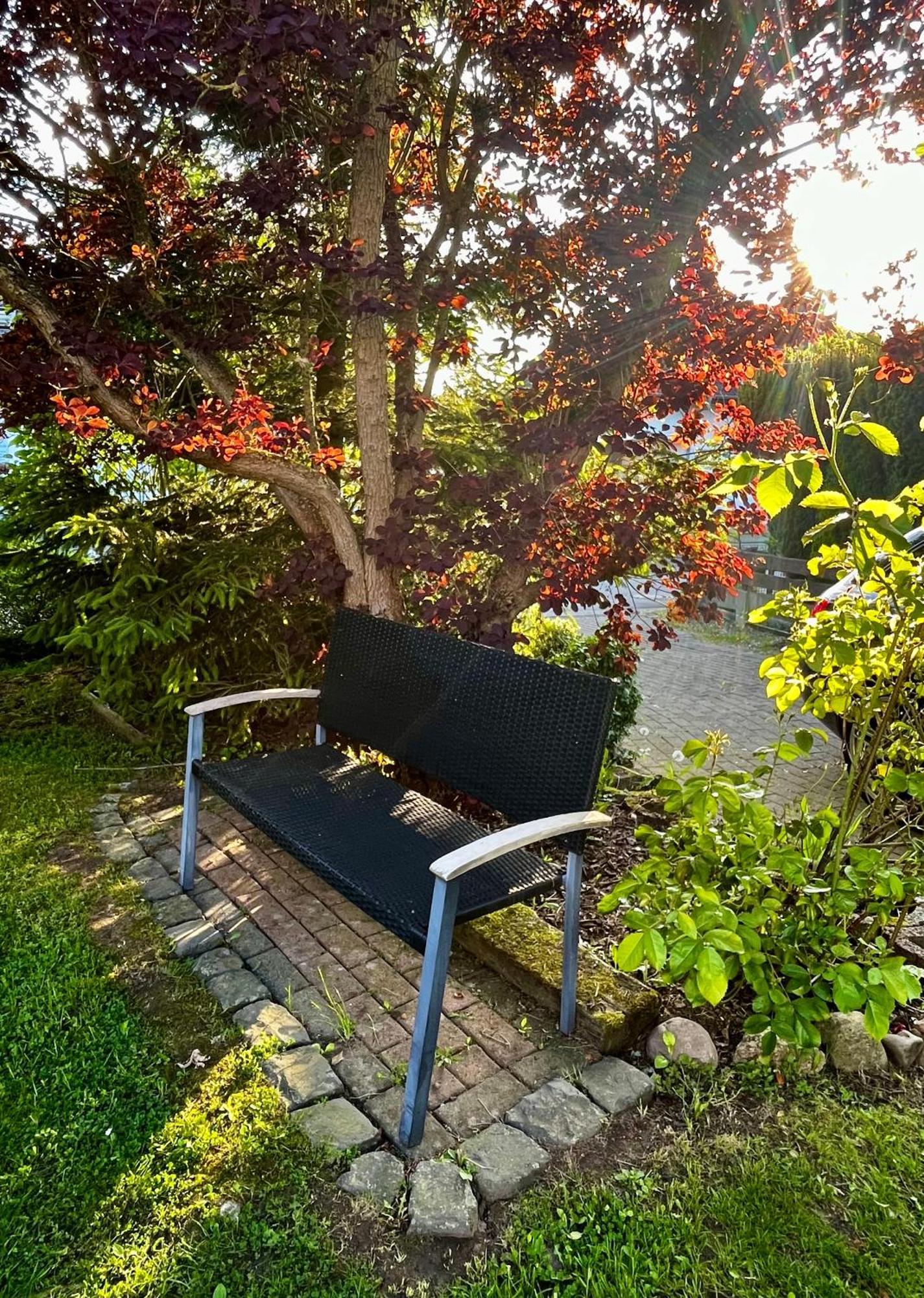 Ferienhaus Windmuehlenweg Mit Grossem Sonnigen Garten -Neu- Spenge Exteriér fotografie